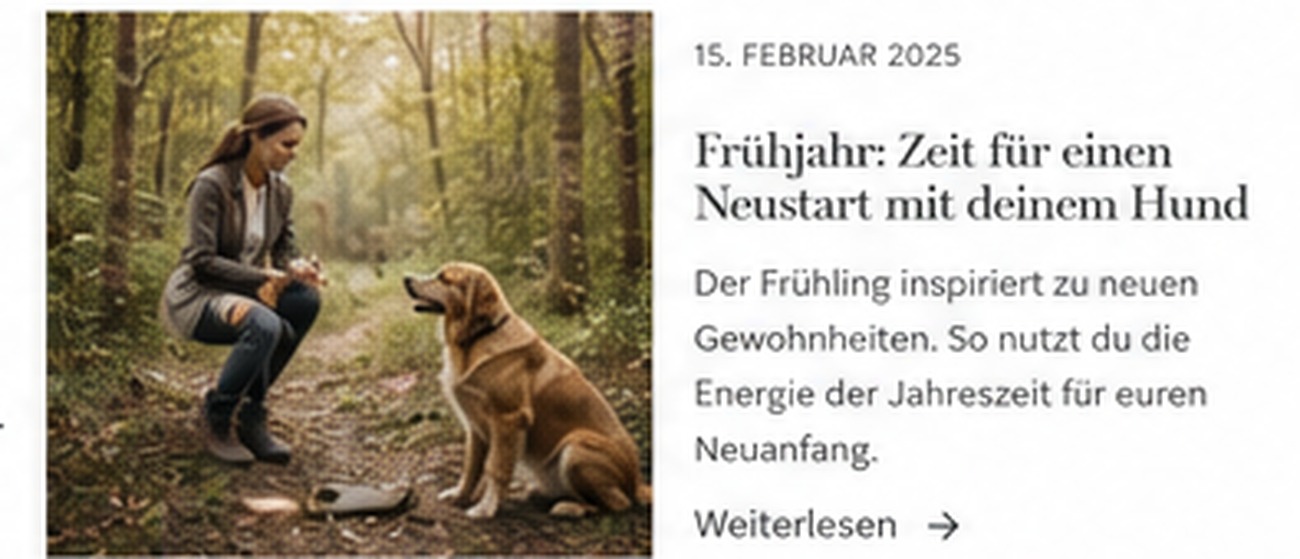 Mensch und Hund in der Natur